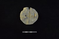 陶片藏品圖，第1張